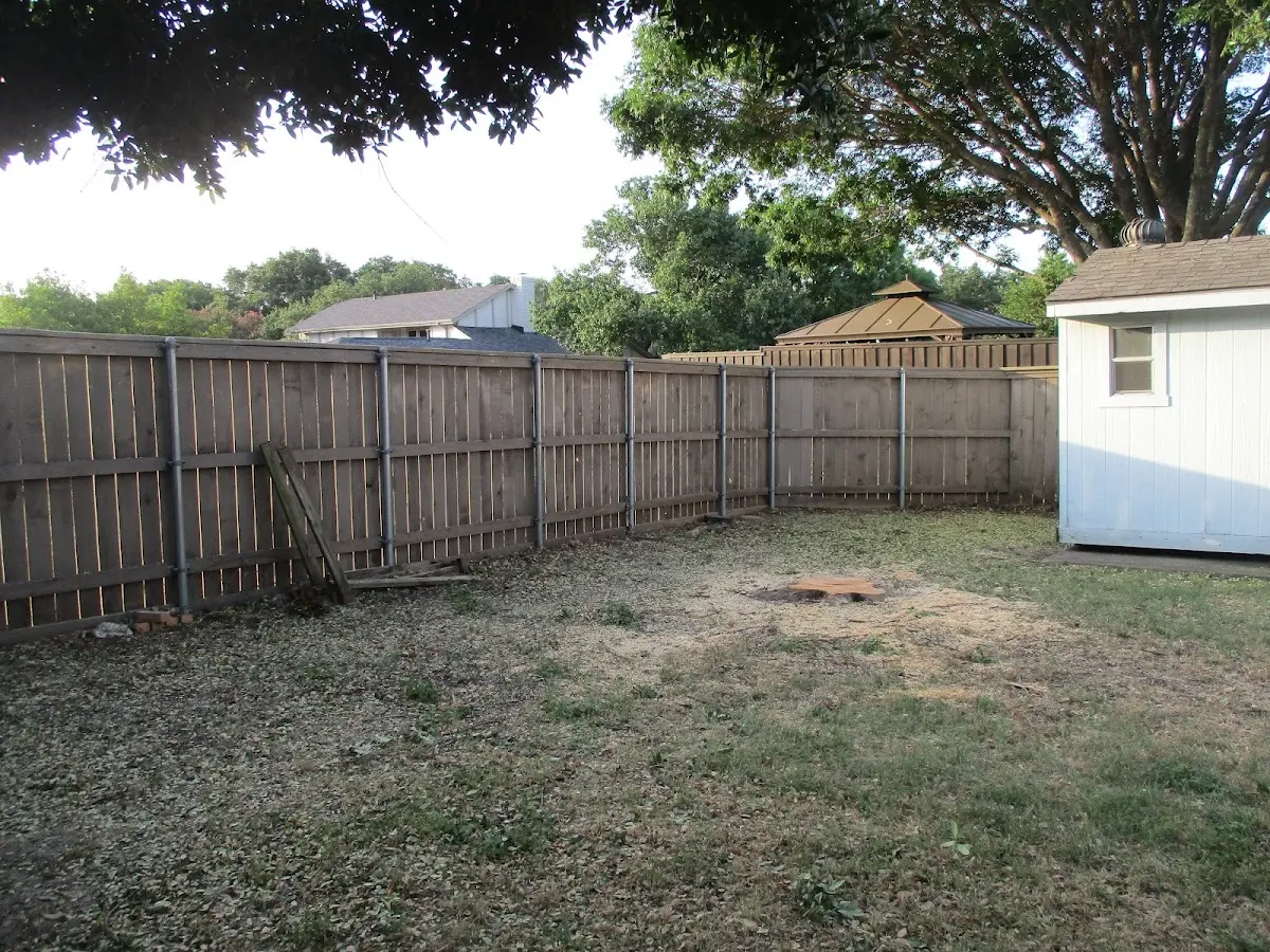 Cleared yard after professional tree removal in Boligee